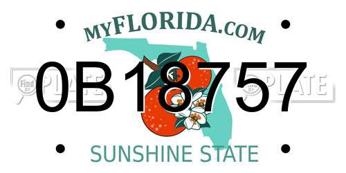 0B18757 Florida License Plate