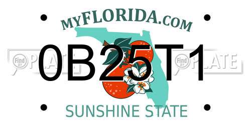 0B25T1 Florida License Plate