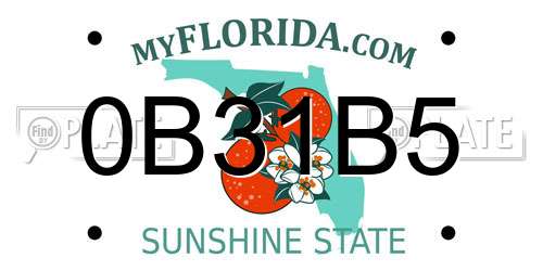 0B31B5 Florida License Plate