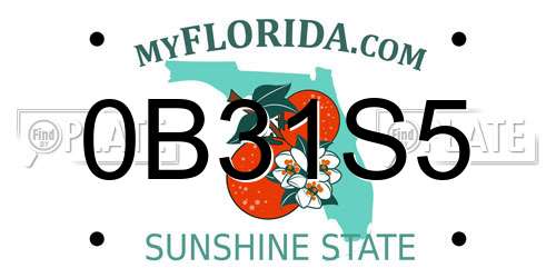 0B31S5 Florida License Plate