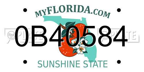 0B40584 Florida License Plate