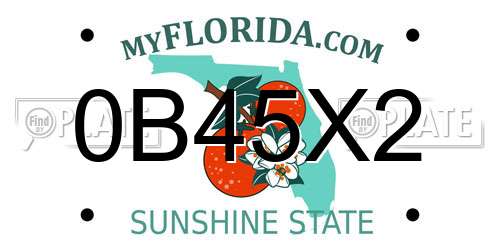 0B45X2 Florida License Plate
