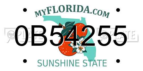 0B54255 Florida License Plate