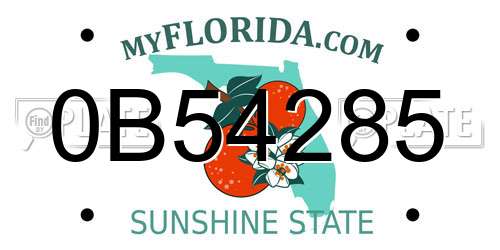 0B54285 Florida License Plate