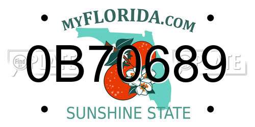 0B70689 Florida License Plate