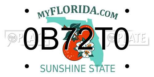 0B72T0 Florida License Plate