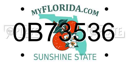 0B73536 Florida License Plate