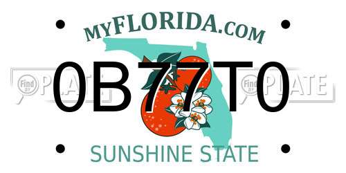 0B77T0 Florida License Plate