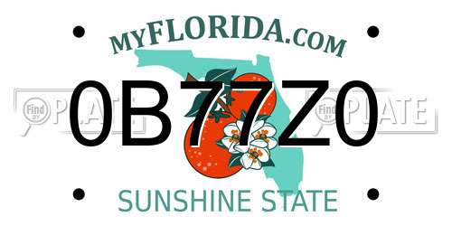 0B77Z0 Florida License Plate