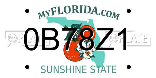 0B78Z1 Florida License Plate