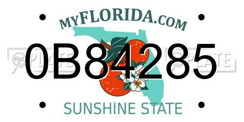 0B84285 Florida License Plate