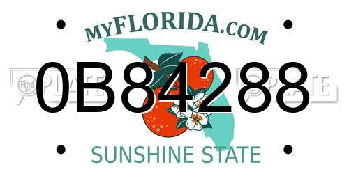 0B84288 Florida License Plate