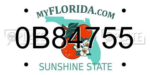 0B84755 Florida License Plate
