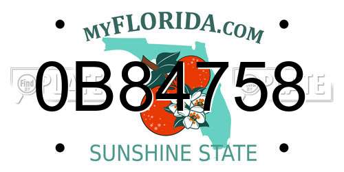0B84758 Florida License Plate