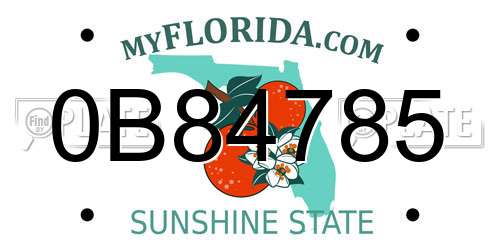 0B84785 Florida License Plate