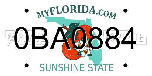 0BA0884 Florida License Plate