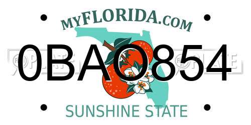 0BAO854 Florida License Plate