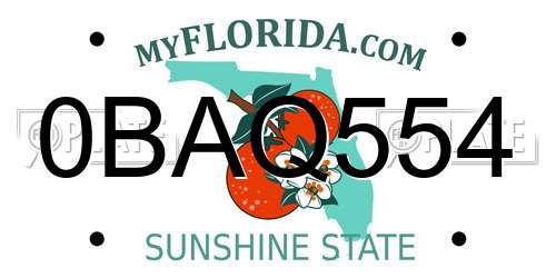 0BAQ554 Florida License Plate