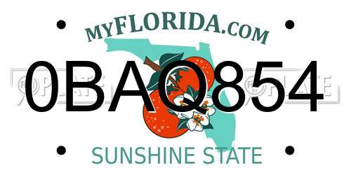 0BAQ854 Florida License Plate