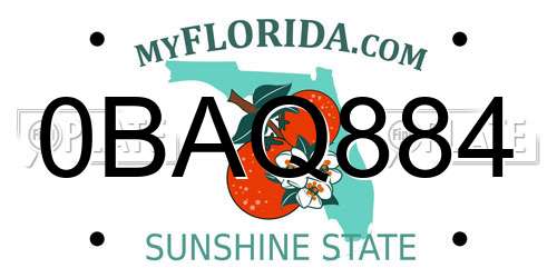 0BAQ884 Florida License Plate