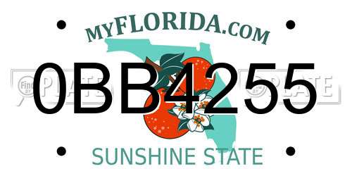 0BB4255 Florida License Plate
