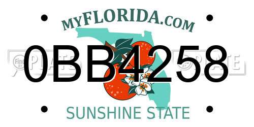 0BB4258 Florida License Plate