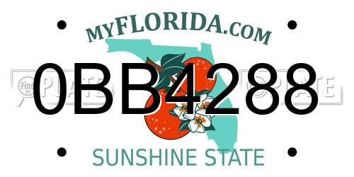 0BB4288 Florida License Plate