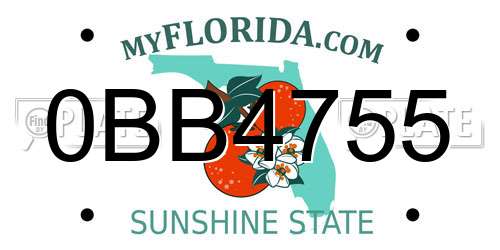 0BB4755 Florida License Plate