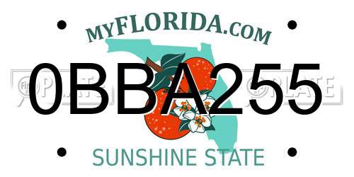 0BBA255 Florida License Plate