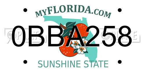 0BBA258 Florida License Plate