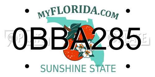 0BBA285 Florida License Plate