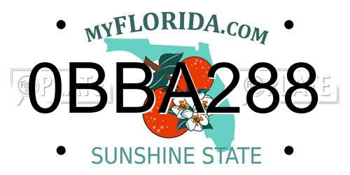 0BBA288 Florida License Plate