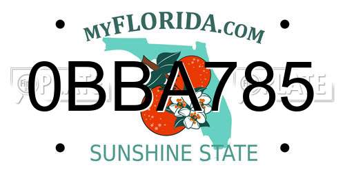 0BBA785 Florida License Plate