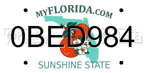0BED984 Florida License Plate