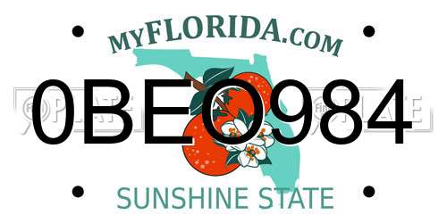 0BEO984 Florida License Plate