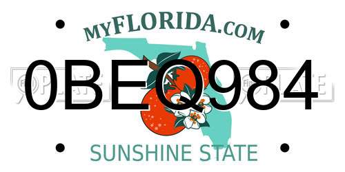0BEQ984 Florida License Plate