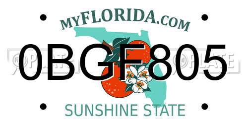 0BGF805 Florida License Plate