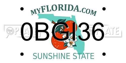 0BGI36 Florida License Plate