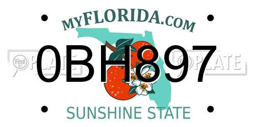 0BH897 Florida License Plate