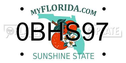 0BHS97 Florida License Plate