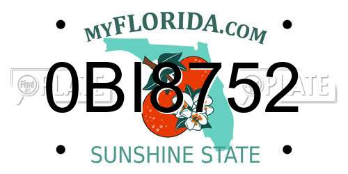 0BI8752 Florida License Plate