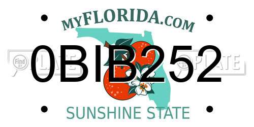 0BIB252 Florida License Plate