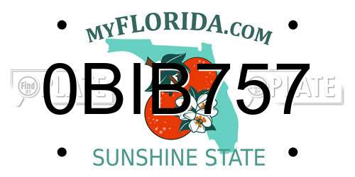 0BIB757 Florida License Plate