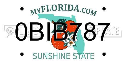 0BIB787 Florida License Plate