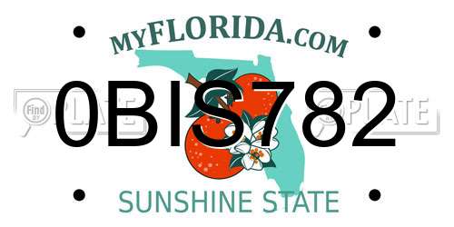 0BIS782 Florida License Plate