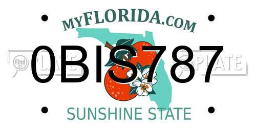 0BIS787 Florida License Plate