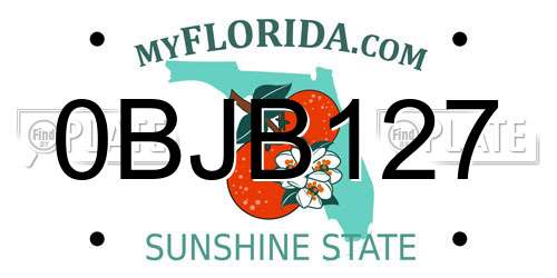 0BJB127 Florida License Plate