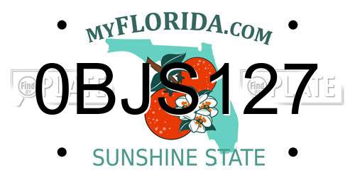 0BJS127 Florida License Plate