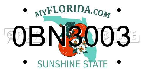0BN3003 Florida License Plate