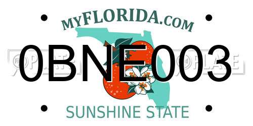 0BNE003 Florida License Plate